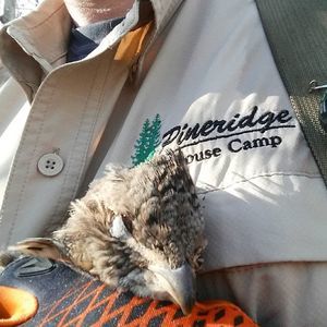 Meet your Posher, Adrian